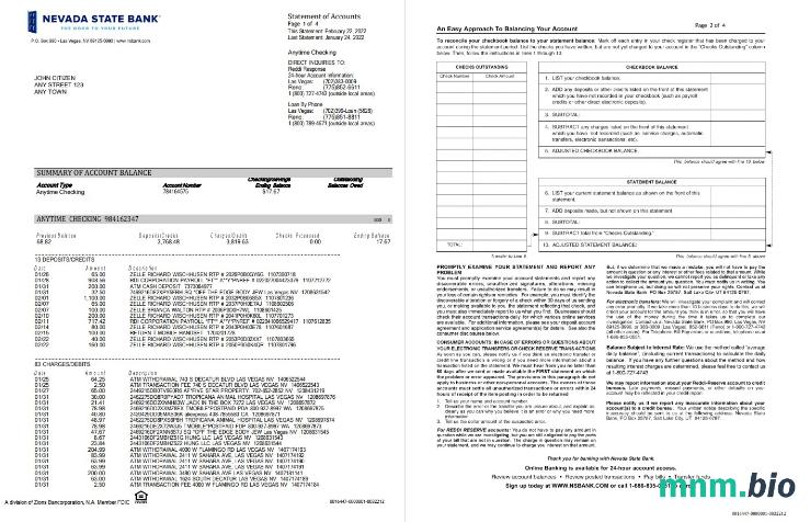 Szablon wyciągu bankowego USA Netspend w programie Word i PDF